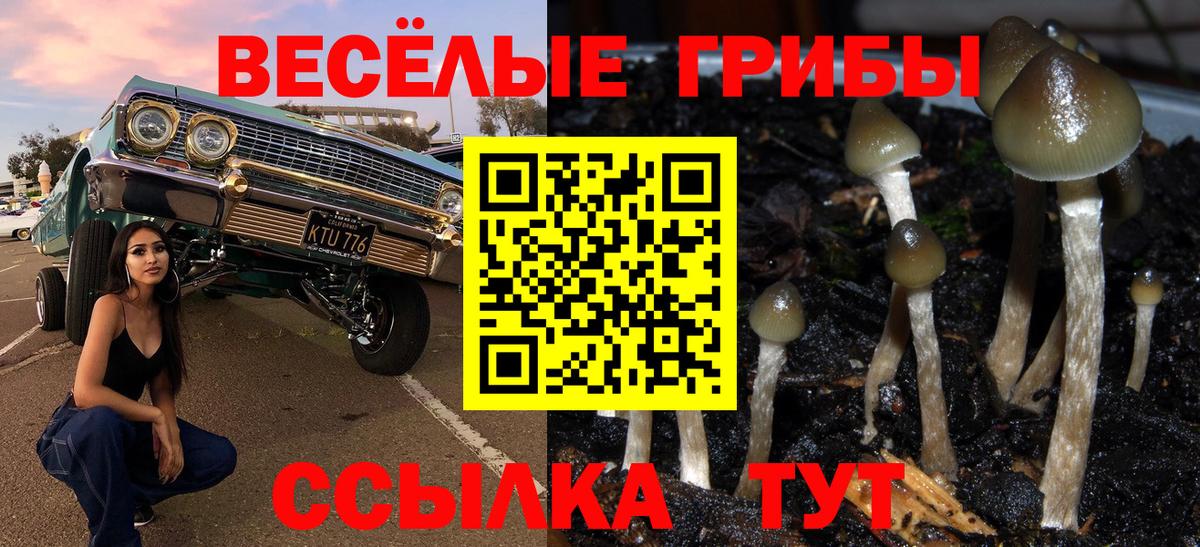 Галлюциногенные грибы прущие грибы Россия