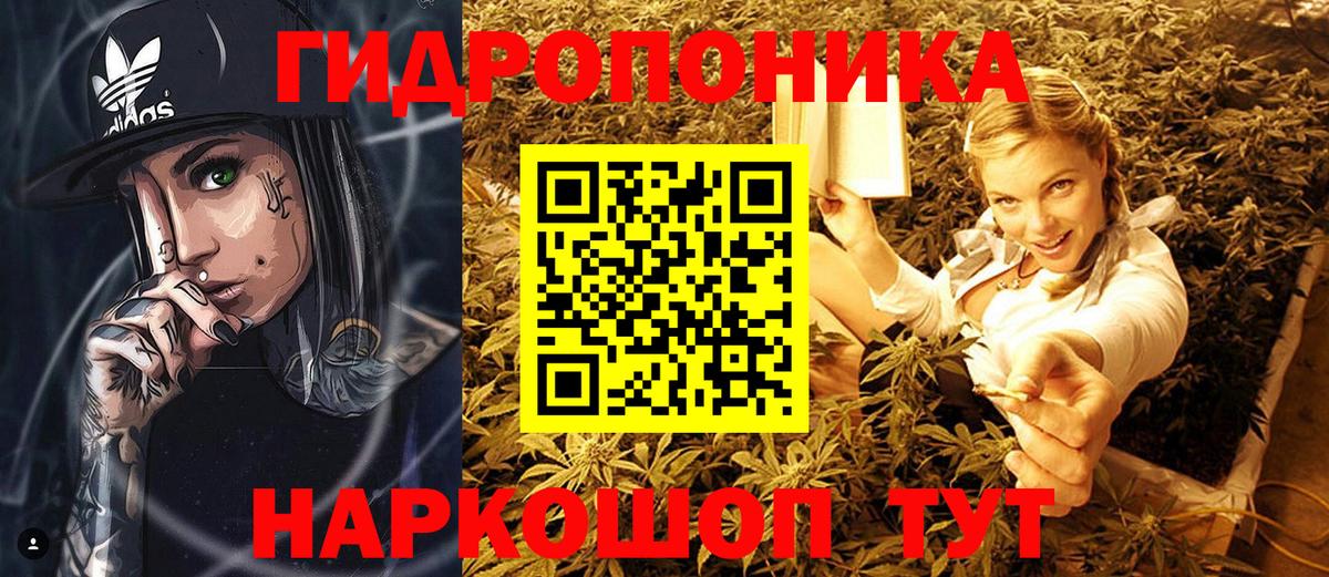 Россия  Канабис конопля  Вход с VPN  Бошки марихуана AK-47 